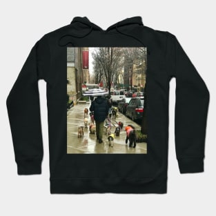 Dog Walking in NY Hoodie